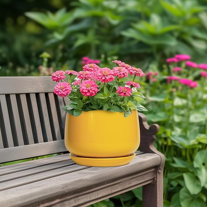 G EPGardening Ceramic Pots for Plants - Image 4