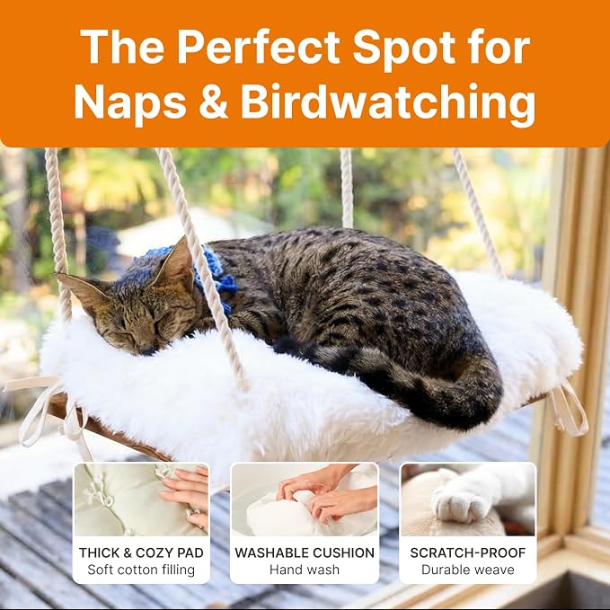 Large Cat Window Perch with Industrial-Grade Suction Cups - Image 4