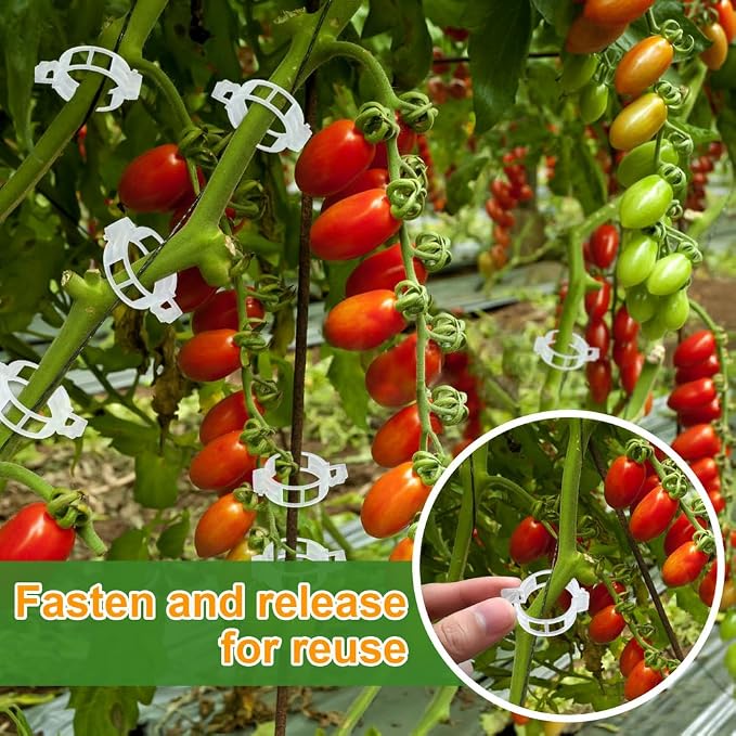 200 Pcs Plant Support Garden Clips, Tomato Clips, Crop Clips - Image 7