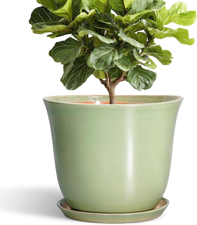 Ceramic Planter by SUNPOTFOR