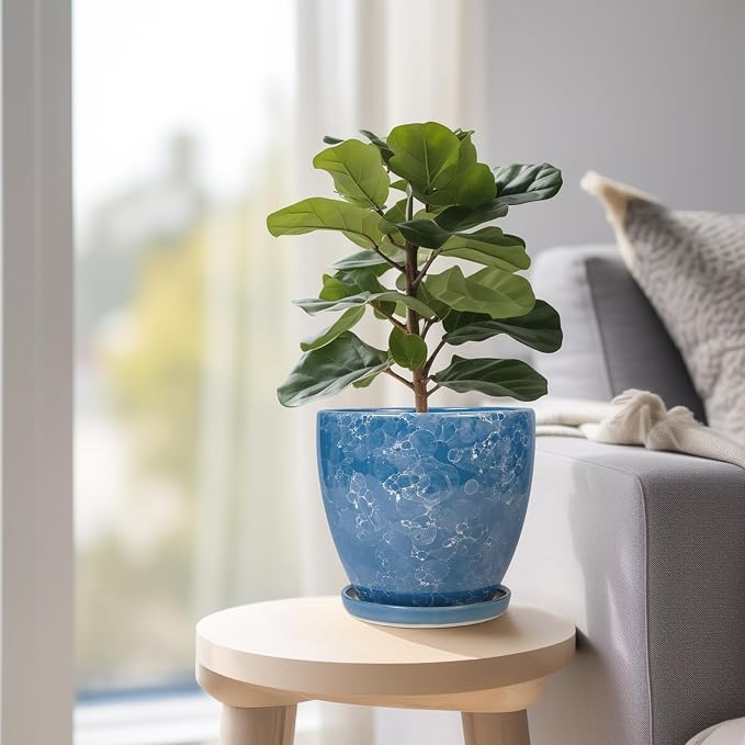 Ceramic Pots for Plants - Image 8