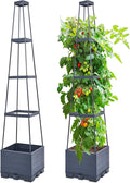 GENMOUS Raised Garden Bed with Tomato Planter Box Trellis, Tomato Planter Cage by GenMousCo