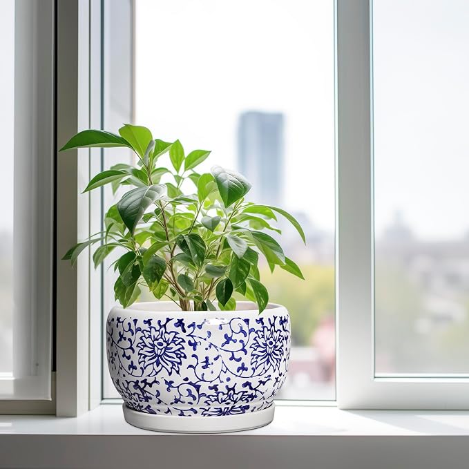 SQOWL Ceramic Pots for Plants - Image 4