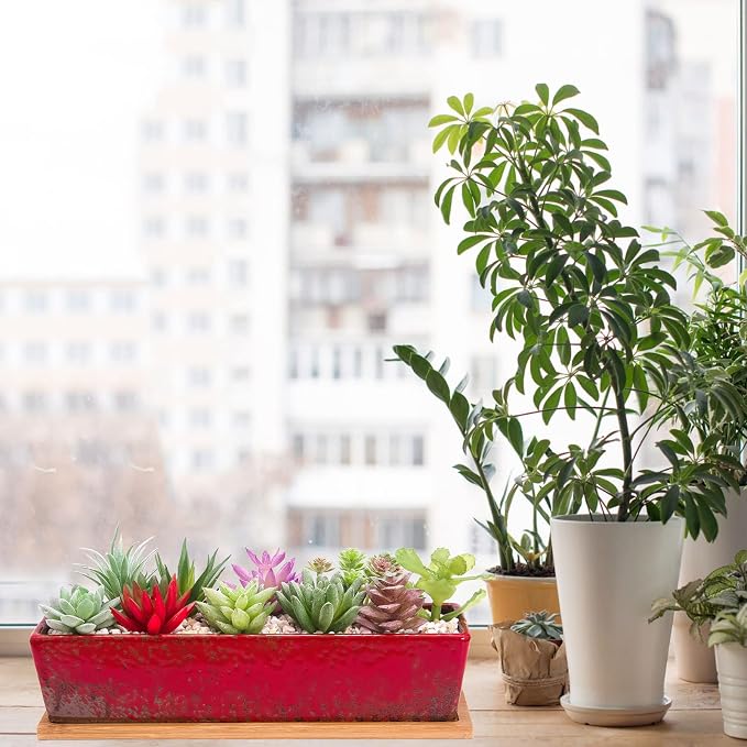Succulent Pots - Large Succulent Planter Pots - Image 6