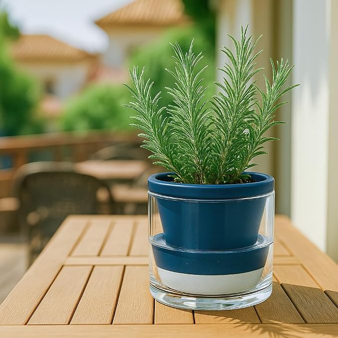 D'vine Dev 6 Inch Design Self Watering Planter - Image 7
