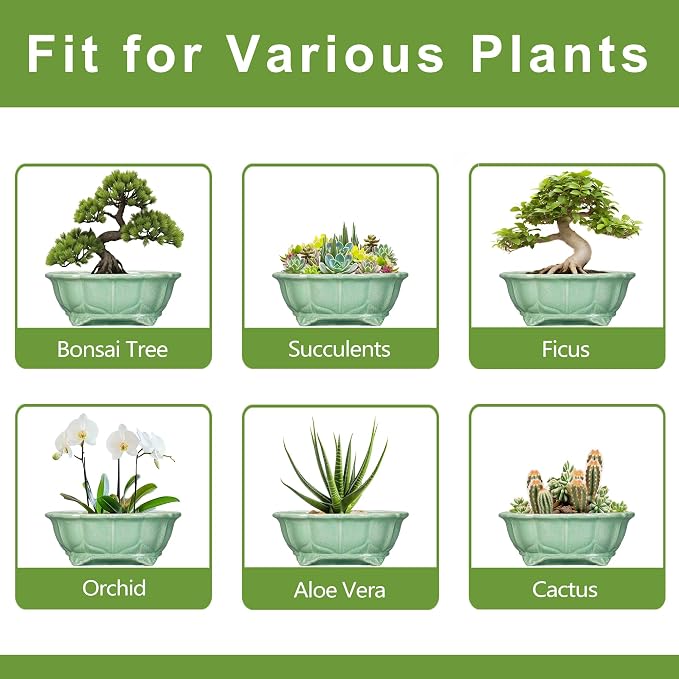 Bonsai Pots 11 Inch - Image 7