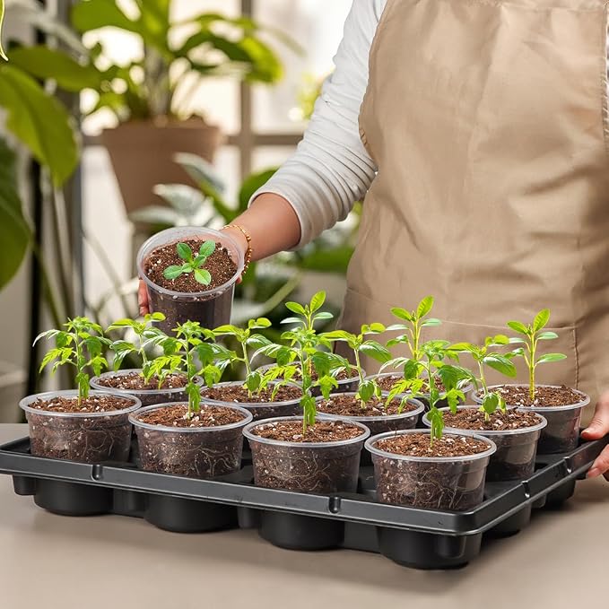 12 Cell Nursery Pot Trays 5 Pack - Image 6