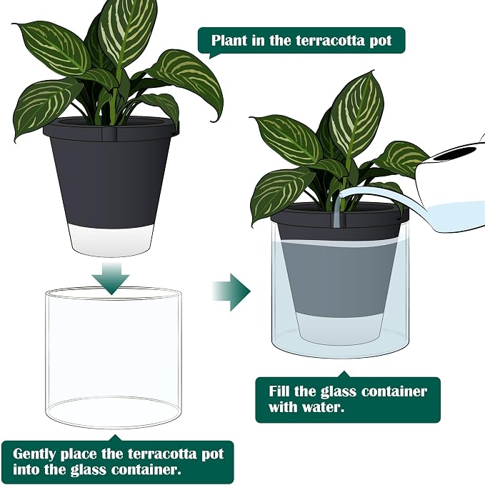 D'vine Dev 10 Inch Design Self Watering Planter - Image 7