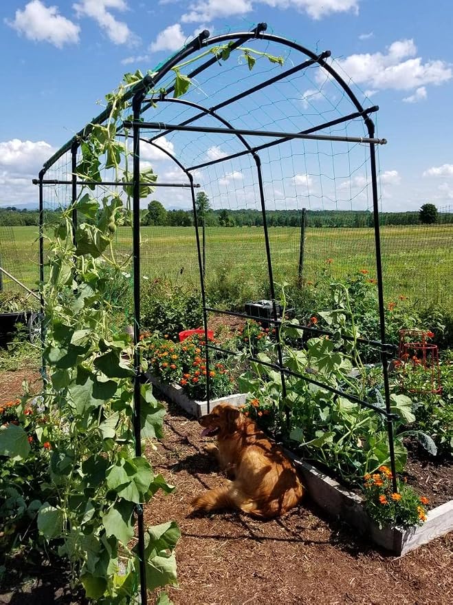 Gardener’s Supply Company Extra Tall Garden Arch Arbor | 80 Inch Tall Titan - Image 6