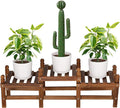 3 Tier Plant Stand Indoor, Wooden Low Plant Bench by Jotboom