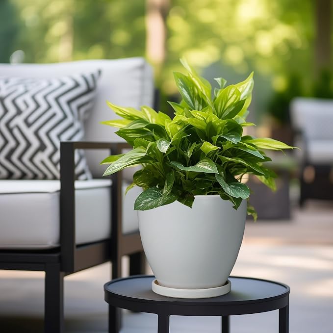 Ceramic Pots for Plants - Image 5