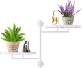 Window Rotating Plant Stand Shelf Indoor White Metal Floating Shelves 2-Tier by YQSLYSF