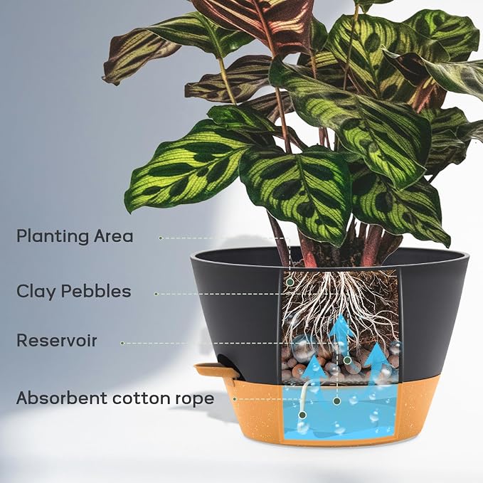 12-Inch Self Watering Planters - Image 4