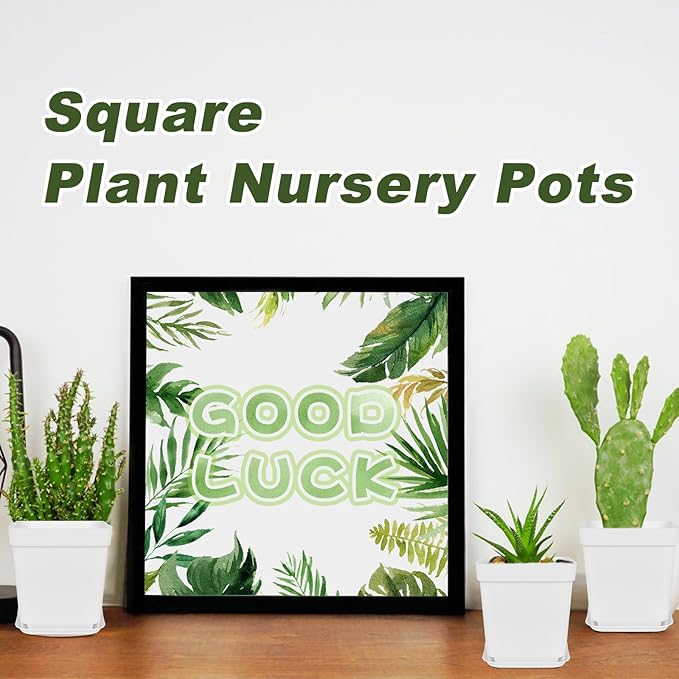 Anyumocz 24Pcs 3" Square Plastic Plant Pots, Seedling Nursery Transplanting - Image 7