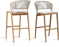 PURPLE LEAF Set of 2 Bar Stools Outdoor Barstools by PURPLELEAF