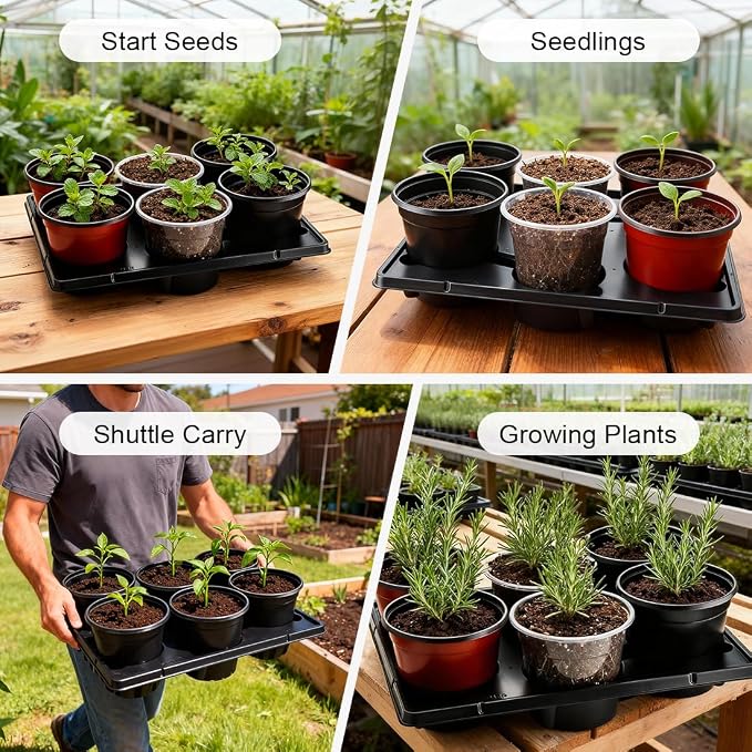 6 Cell Round Nursery Pot Trays for 6 Inch Pots, Thickened Sturdy Seedling Pot - Image 6