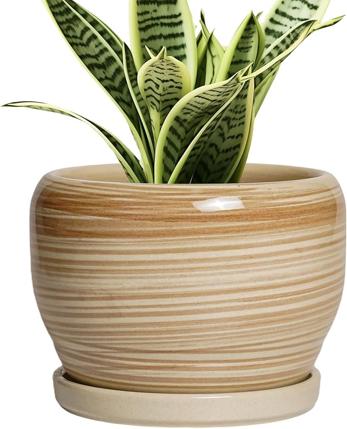 SQOWL Ceramic Pot for Plants by SQOWL