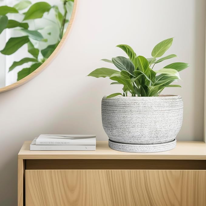 SQOWL Ceramic Flower Pots - Image 7