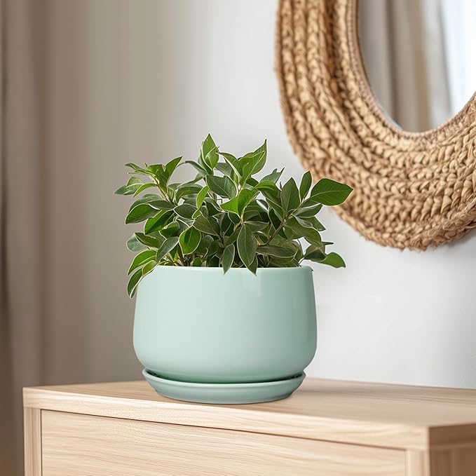 G EPGardening Ceramic Pots for Plants - Image 5