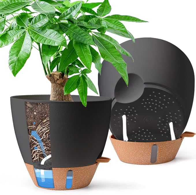 2 Pack 10 Inch Self Watering Pots by T4U