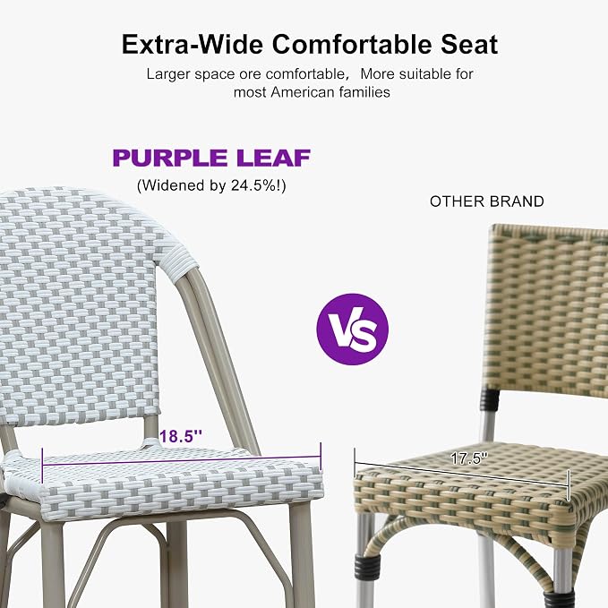 PURPLE LEAF French Bar Stools Set of 2 Champagne Print Finish Outdoor Bar Stools - Image 5
