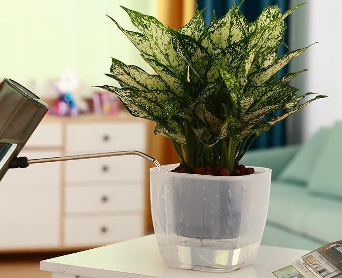 3-Pack Clear Self Watering Planters - Image 8