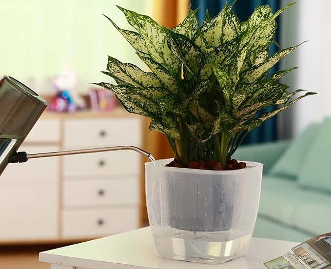 12-Pack Clear Self Watering Planters - Image 8