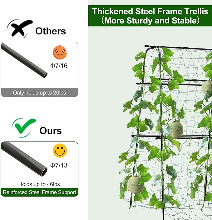 Cucumber Trellis for Raised Bed, 5x5ft Metal Garden Trellis Climbing Plants - Image 5