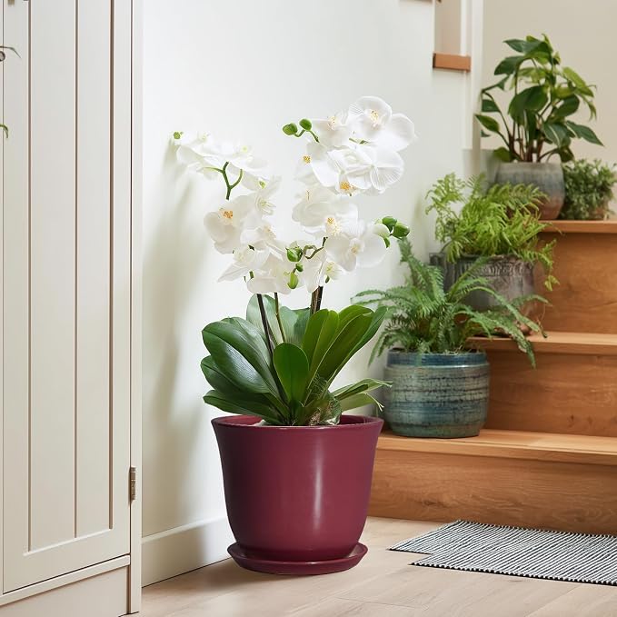 Ceramic Plant Pots - Image 7