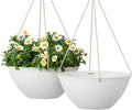 LA JOLIE MUSE Hanging Planters for Outdoor Plants, Large Hanging Planter by LaJol%C3%ADeMuse