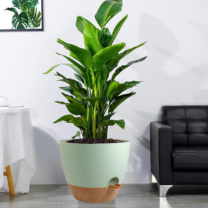 12 inch Large Self Watering Pots, Plastic Planters - Image 6