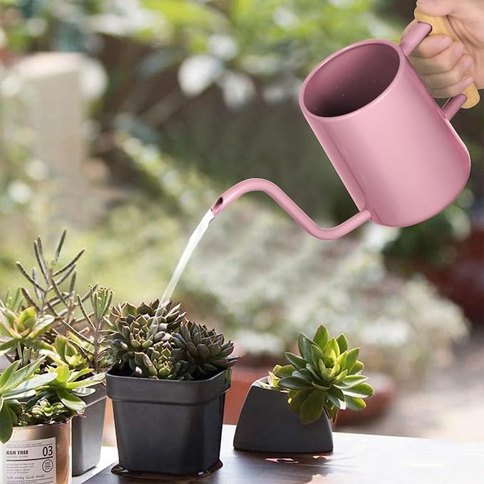 Watering Can Indoor Plants, 35 oz/1000 ml Metal Stainless Steel Watering Can Pot - Image 2