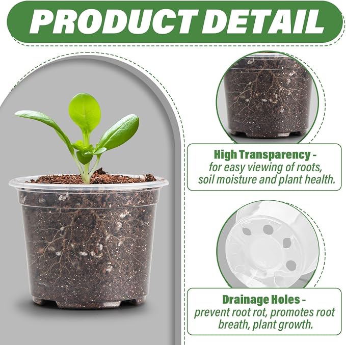 Clear Seedling pots 20 Pack 3.2 Inches Round - Image 3