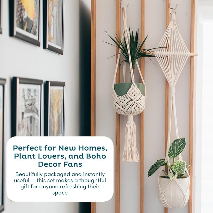Nook Theory 4-Pack Macrame Plant Hangers - Image 8