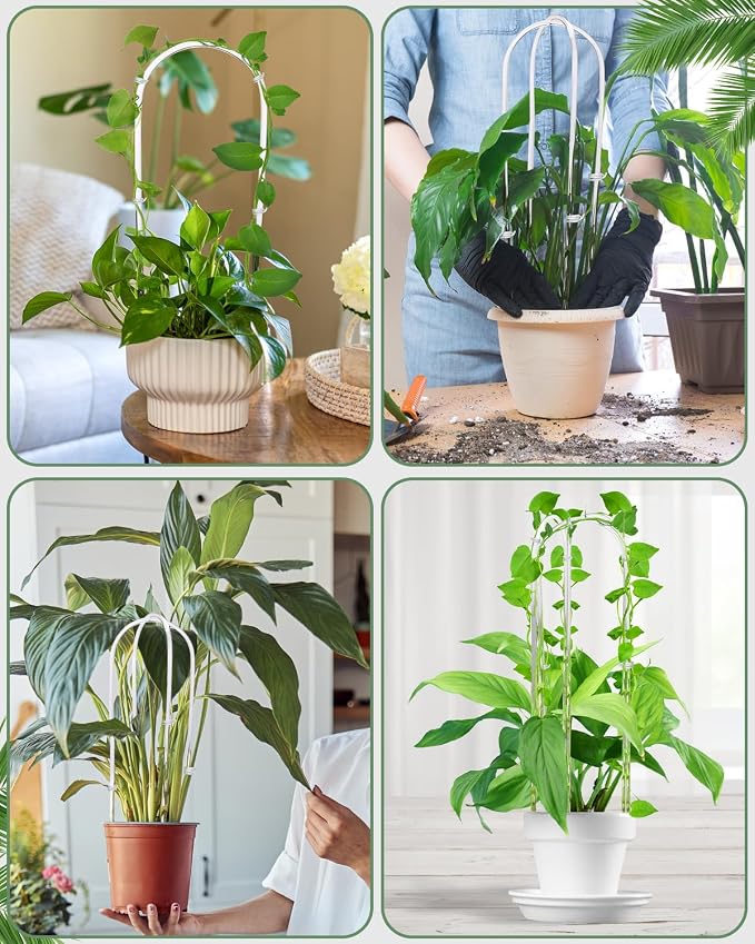 3 Pack Larger Acrylic U-Shaped Hoya Trellis, 16 Inch Indoor Climbing Plant - Image 7