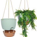 8 inch Hanging Planters, 2 Pack Self Watering Hanging Pots by SwinDuck