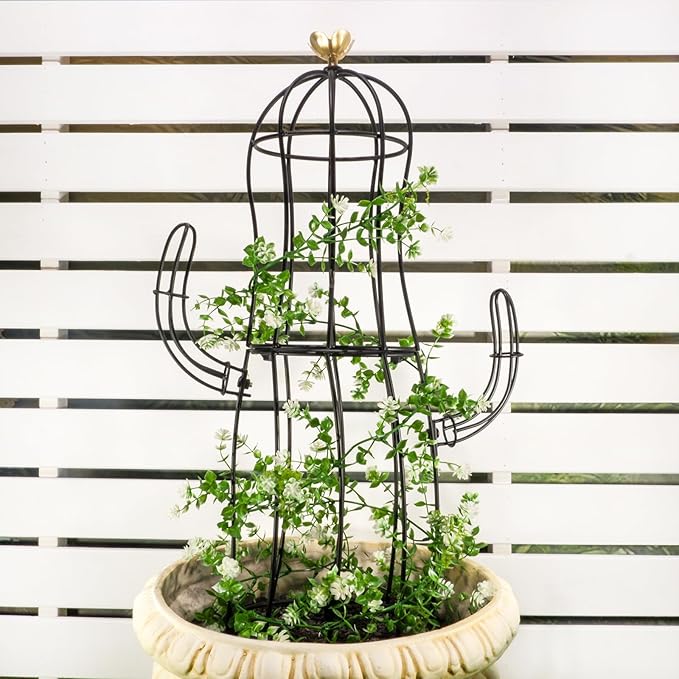 Cactus Obelisk Trellis by Goooxim
