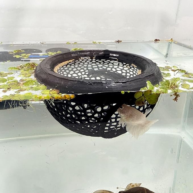 Aquarium Floating Betta Fish Skins, Betta or Shrimp Feeder, Cave and Hammock by HOZOE