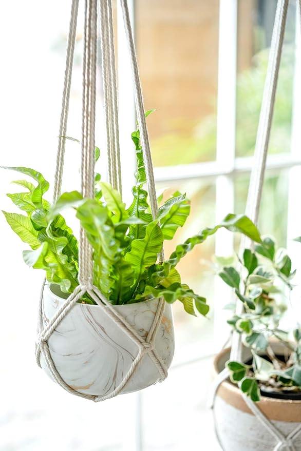 Dahey Macrame Plant Hanger Set of 3 - Image 4