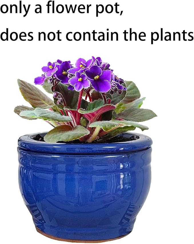 African Violet Pots Self Watering Round Ceramic Violet Pot - Image 6