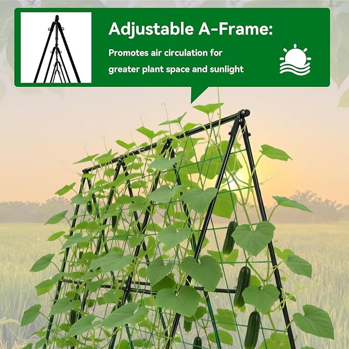 Cucumber Trellis - Image 5