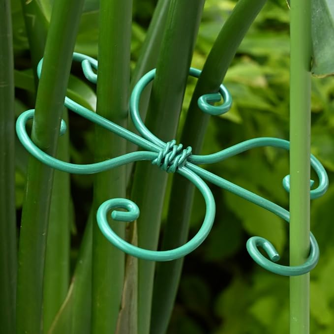 5PCS Monstera Plant Support Hook - Image 6