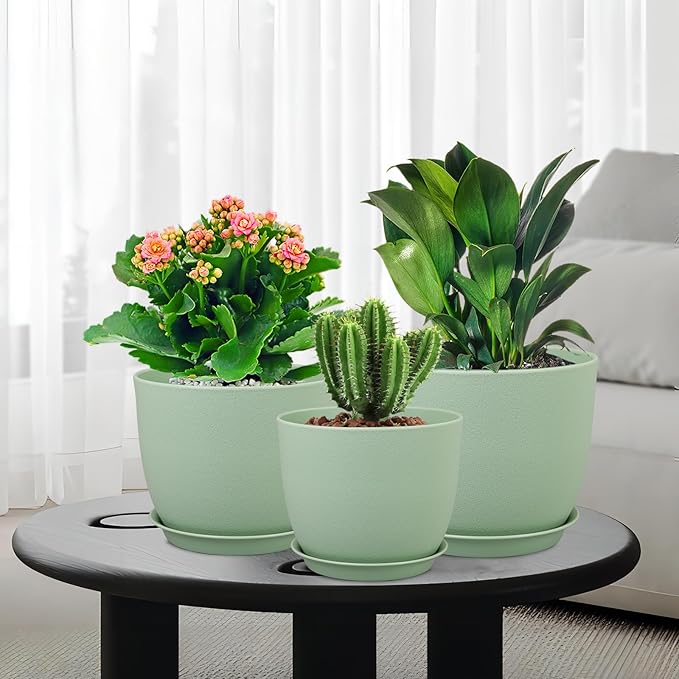 Medium Plant Pots 10/9/8 inch, Flower Pots - Image 7