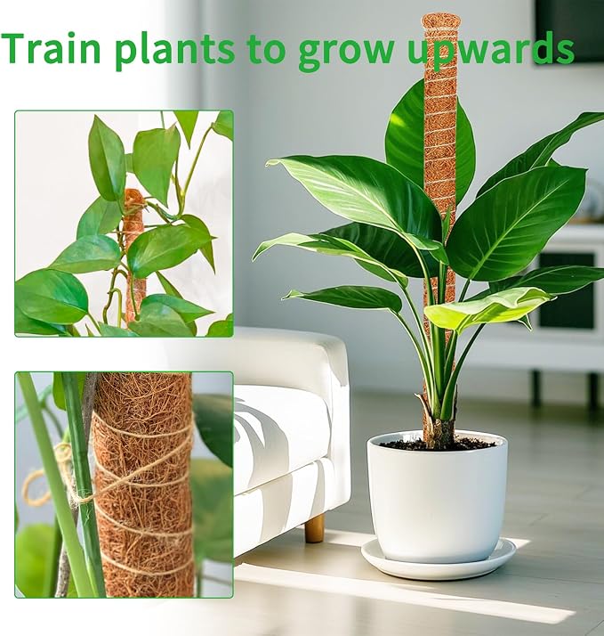 2 Pack 39 Inch Moss Pole Monstera Plant Support, Coir Moss Poles - Image 4