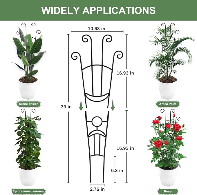 32.6in Monstera Plant Support Stakes - Image 2