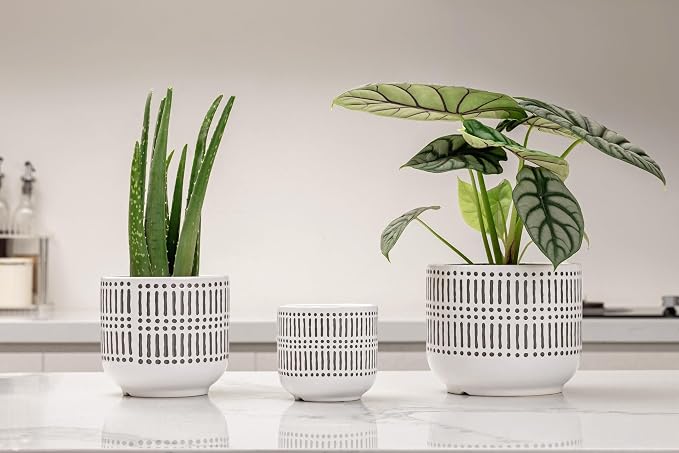 Docrin 3-Pack Ceramic Planters Set - Image 3