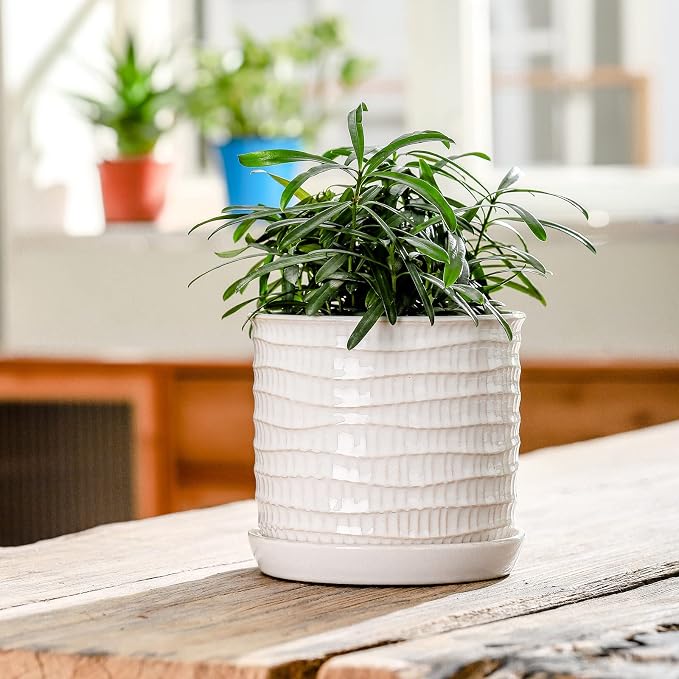 5.8 Inch Plant Pot: Ceramic Planter - Image 3