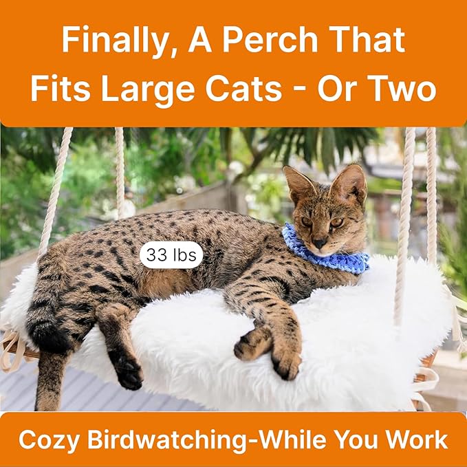Large Cat Window Perch with Industrial-Grade Suction Cups - Image 2