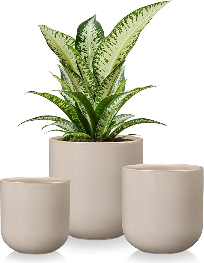 vancasso Ceramic Plant Pots, 4+5+6 inches, Planters by vancasso