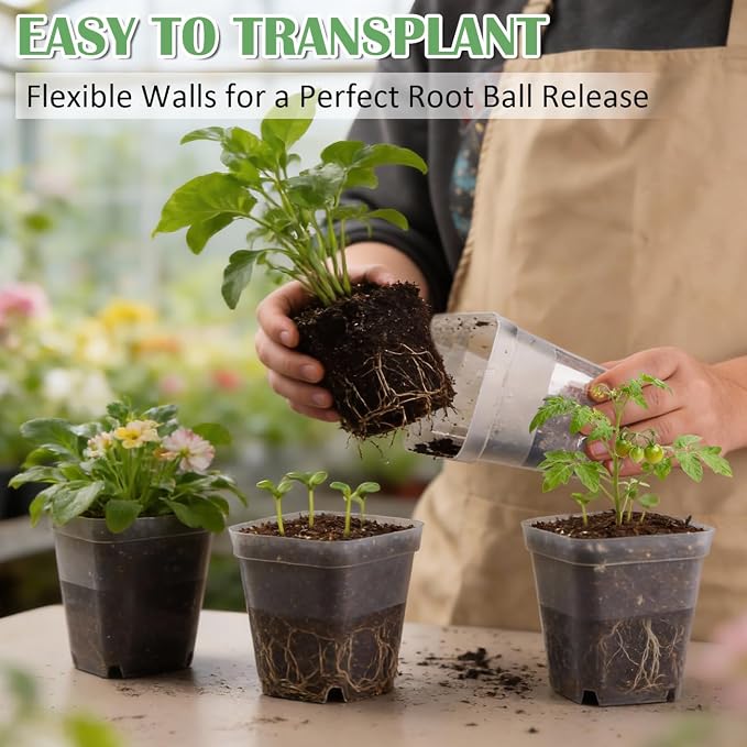 60 Pcs Clear Square Nursery Pots 4 Inch, Reusable Seedling Pots - Image 4